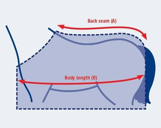 Sweat Blanket Workout (280 gr)